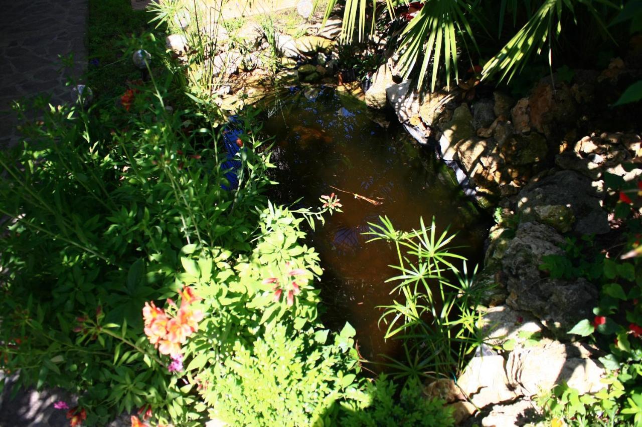 Garden Fuorirotta San Giovanni Teatino Exterior foto